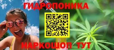 дмт Лесосибирск