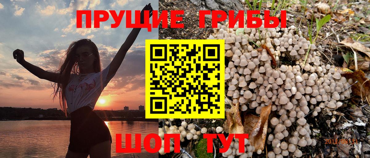 Псилоцибиновые грибы мухоморы Димитровград