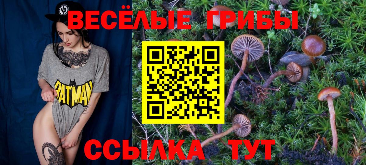 Димитровград  Псилоцибиновые грибы мицелий  Вход с VPN  Псилоцибиновые грибы GOLDEN TEACHER 